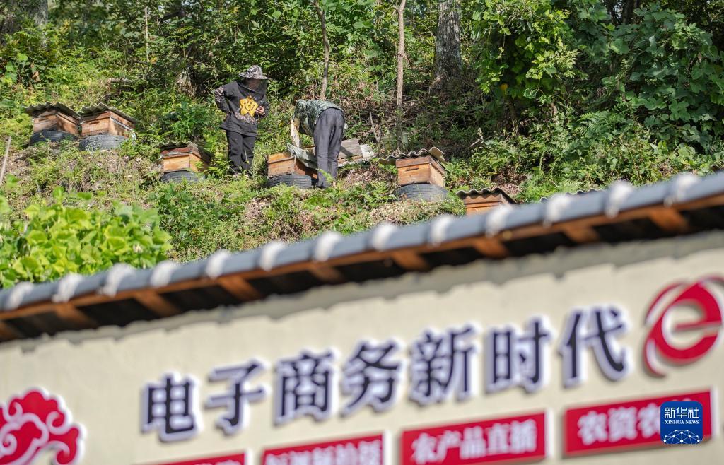 找不到宝盈网站了